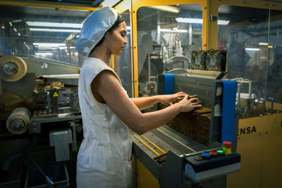 Cuban Cigarillos: The Rising Star of the Cigar Market