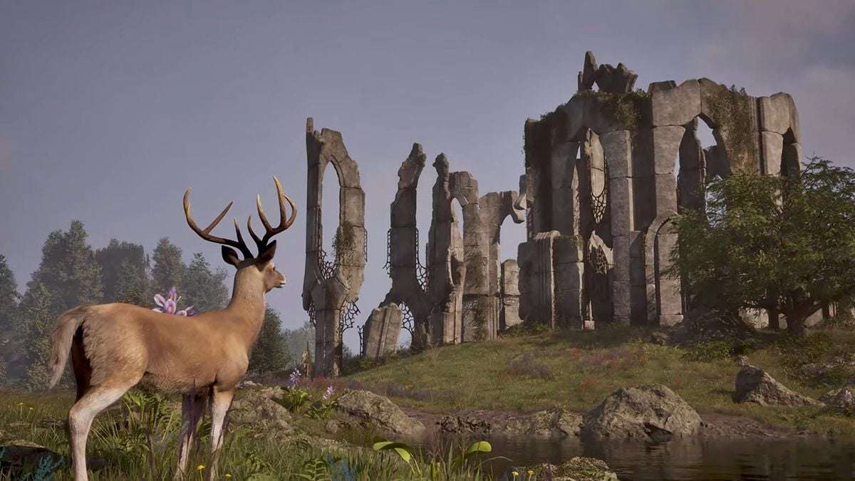 Oblivion Remastered: French Voiceovers Missing, But Modding Community Comes to the Rescue