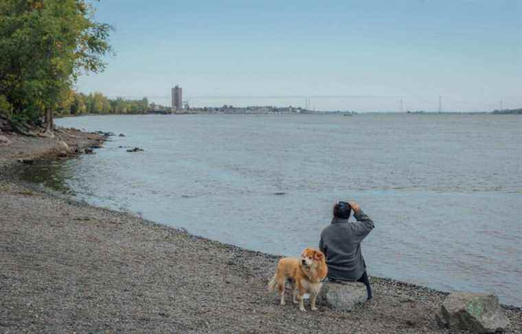 A waterfront promenade along the St. Lawrence River in 2027, promises Valérie Plante