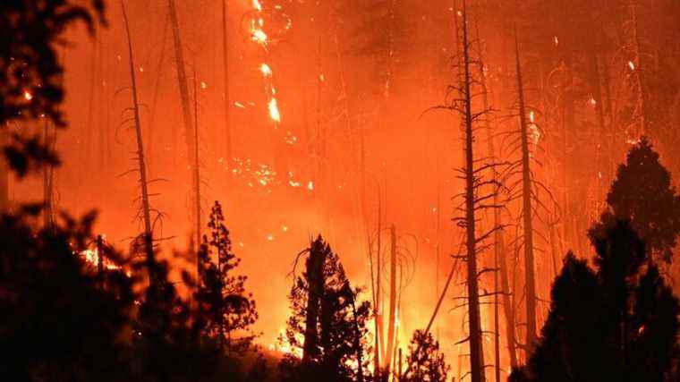 Americans continue to flee California and forest fires