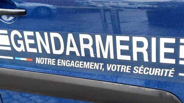 An adult and three minors arrested in Finistère for a series of thefts