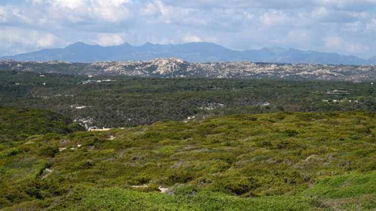 An autumn still too dry in Corsica.  Dams are struggling to fill up.