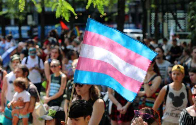 Bill 2: an infringement of the rights of trans and non-binary people