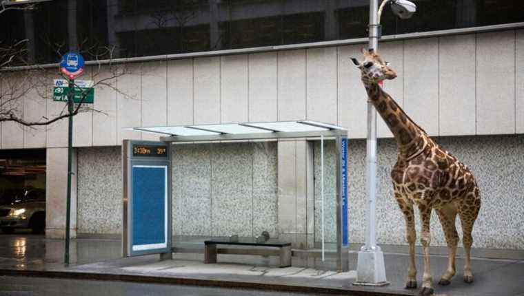 Bus stops