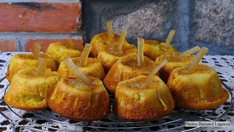 CAKES with JAM for All Saints’ Day on the Producers market in BORT les ORGUES