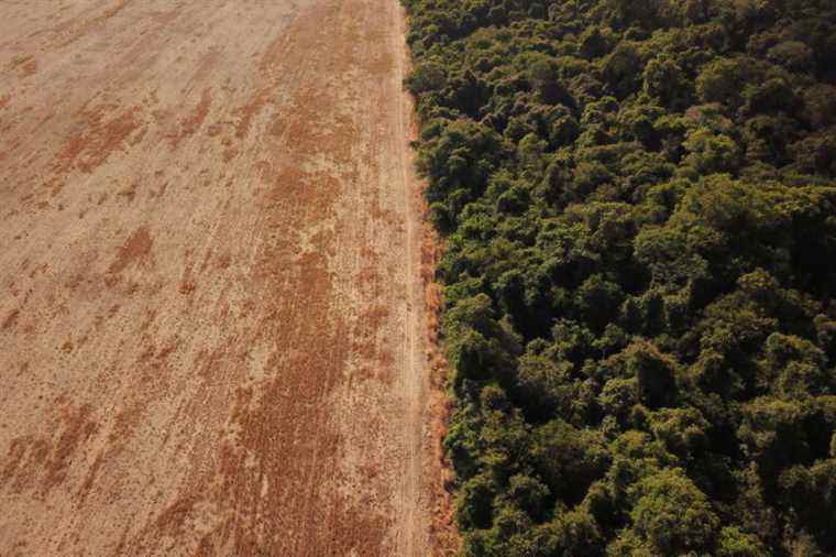 COP26 on the climate |  Brazil goes to Glasgow ready to defend Amazon interests