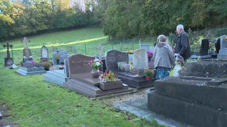 Cemeteries: some municipalities have already adopted a ban on pesticides