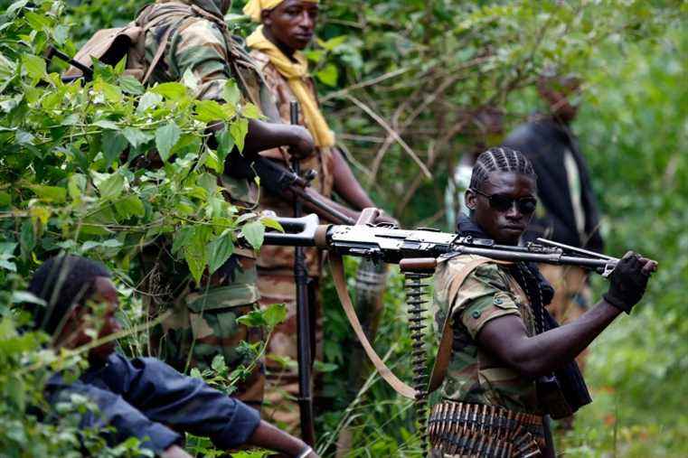 Central African Republic |  Anti-Christian militia leader accused of torture at ICC