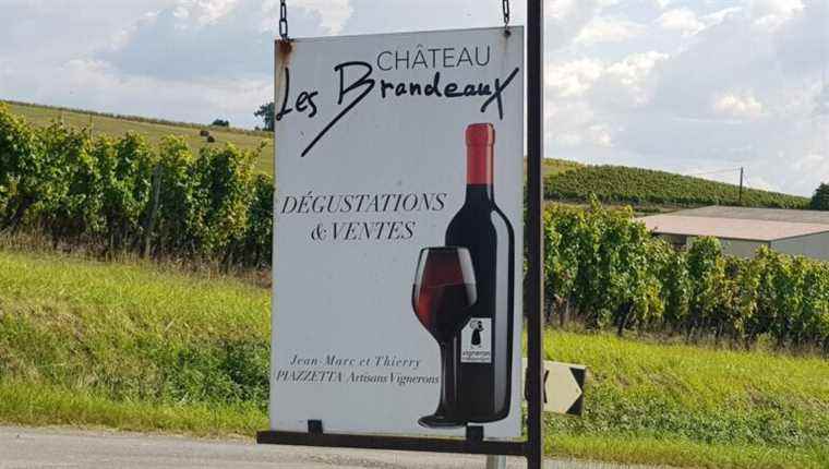 Château Les Brandeaux in Thénac