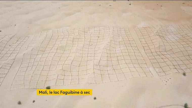 Climate: in Mali, Lake Faguibine is dry