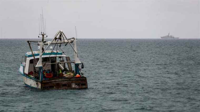 “Declines in turnover of up to 50%” for some fishermen in Hauts-de-France