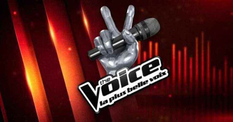 Discover the new jury of “The Voice”, you will be very very surprised!