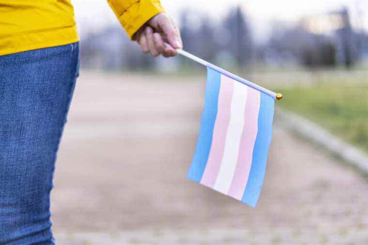 Family law reform |  Trans denounce a major setback