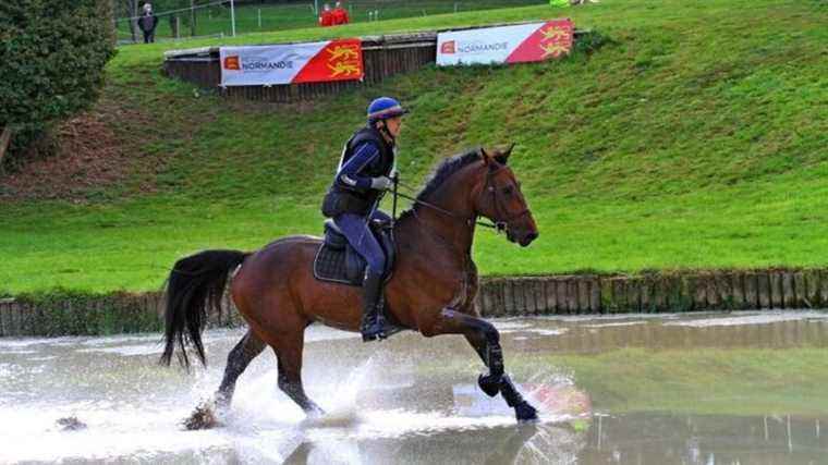 Full competition: Florian Ganneval a five-star farrier