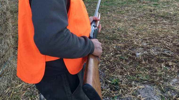 Hunting suspended in Monistrol-sur-Loire after the aggression of the president of the municipal association