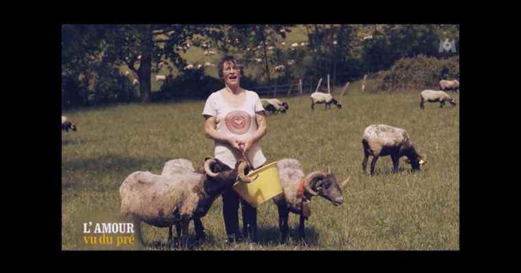 “I smashed my head against a rock”: wounded, Jeanne (Love is in the meadow) tells of her fear