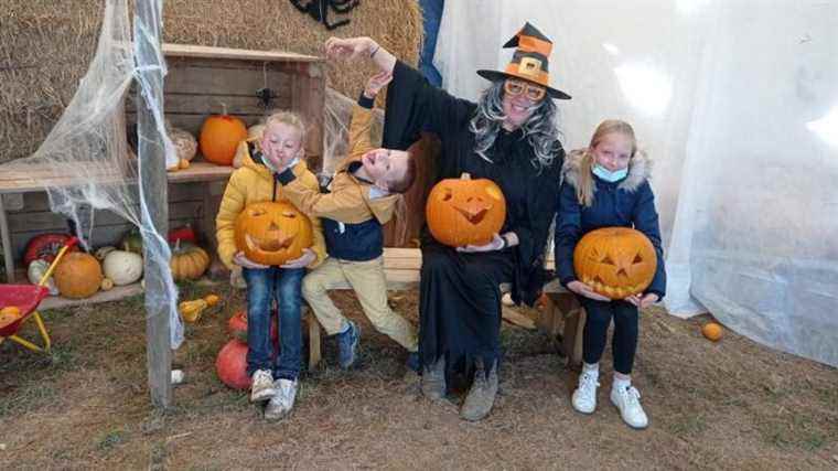 IN PICTURES – Halloween pumpkins in the spotlight at Cueillette du Peltre