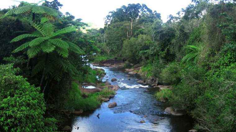 In Australia, the government gives back 160,000 hectares of land to an Aboriginal community