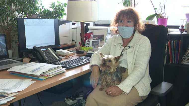 In Grenoble, the town hall accepts dogs at work