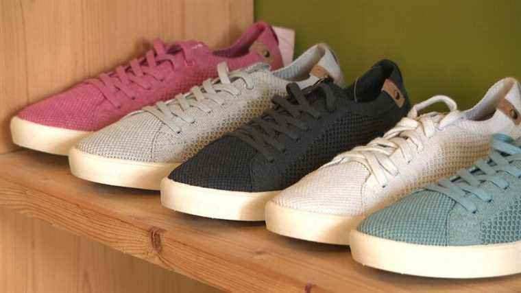 In Haute-Savoie, a company designs sneakers with algae and plastic bottles to pollute less