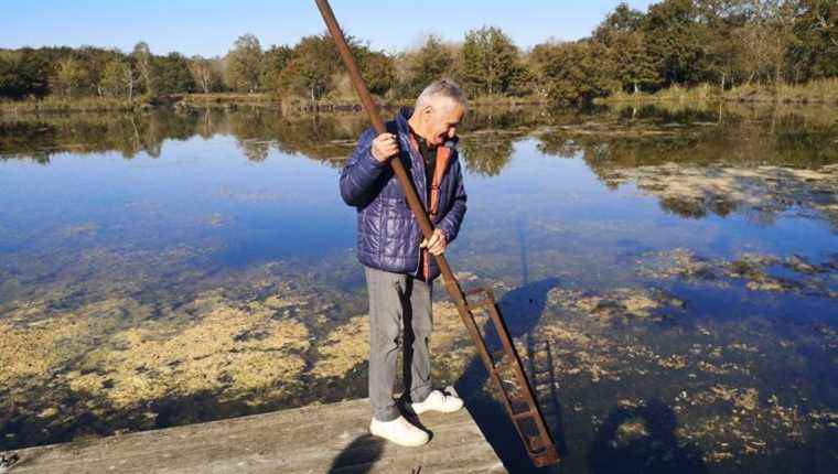 In the Vendoire peat bogs, we “pulled” the peat