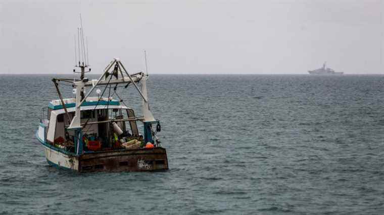 “It’s unhealthy, we must work in good harmony”, calls the regional fisheries committee of Normandy