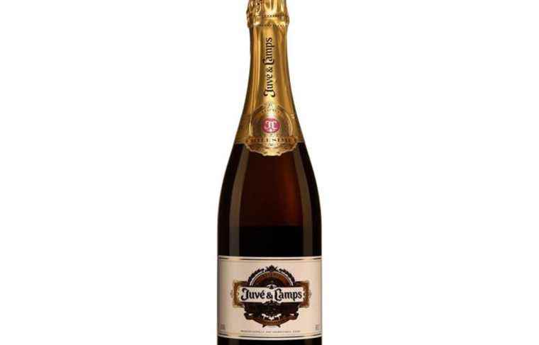 Juvé Camps Reserva 2017, Cava Brut, Spain