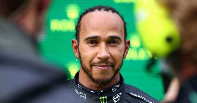 Lewis Hamilton unrecognizable: big beard, wrinkles and glasses, the champion turned into video