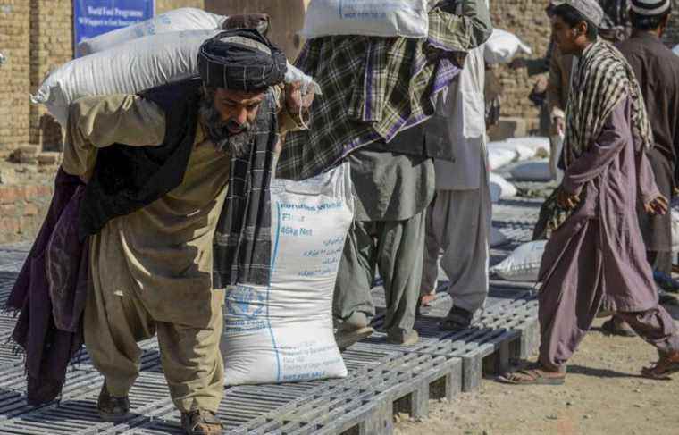 More than half of Afghans will soon be severely food insecure