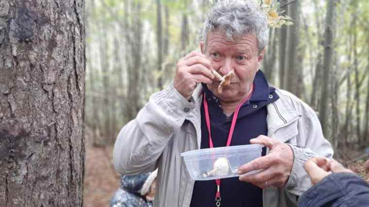 Outings in the forest to learn to recognize fungi and avoid poisoning