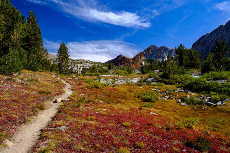 Pacific Crest Trail: What to Know Before You Start