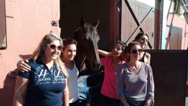 Pink October, therapy that does good thanks to horses