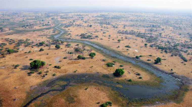 Reinhold Mangundu, the Namibian poet who convinced Prince Harry and Leonardo Di Caprio to save the Okavango River