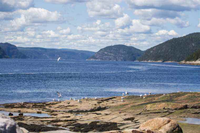 Saguenay – St. Lawrence Marine Park |  “Destructive” fishing in a marine protected area