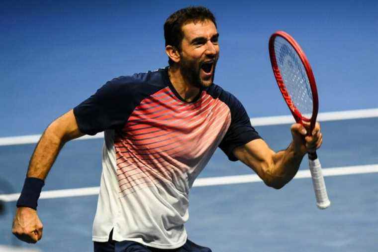 Saint Petersburg Tournament |  Marin Cilic adds 20th title to his record