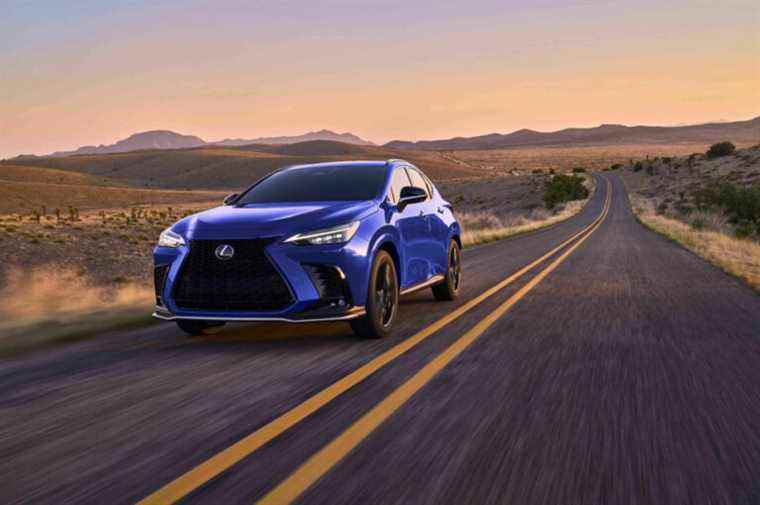 Test bench |  Lexus NX 2022: understated efficiency