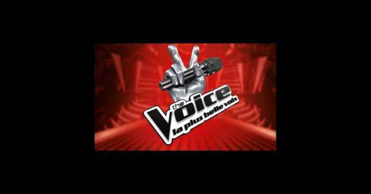 The Voice 2022: The four coaches found, their names revealed!