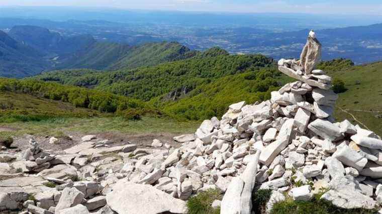 The forest of the Saoû massif, an exceptional forest