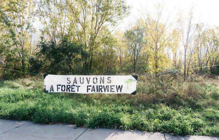 The future of Fairview Forest at the heart of the election campaign