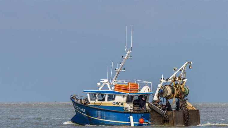 The misfortunes of fishermen