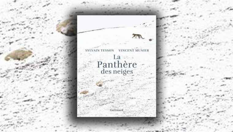 “The snow panther” by Philippe Tesson