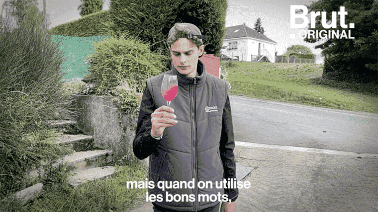 VIDEO.  The daily life of Émile, a young winegrower in Touraine