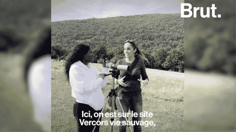 VIDEO.  With Fatou Guinea in the Vercors wildlife reserve