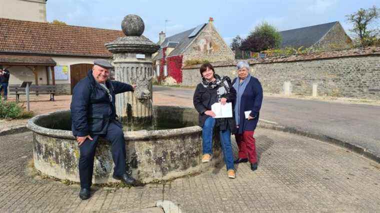 Walk in Terre Plaine, in Auxois, in the land of Charolais.