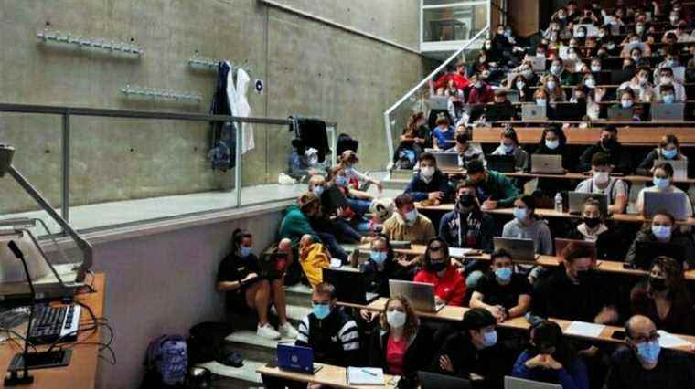 “We are sitting on the floor”, packed lecture halls at the University of Strasbourg