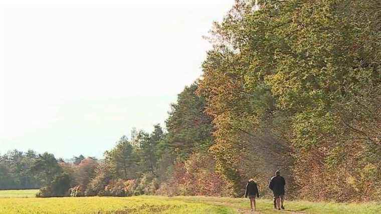 a department that displays all its colors in autumn