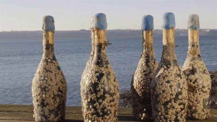 aging wine under water, a trend that is on the rise