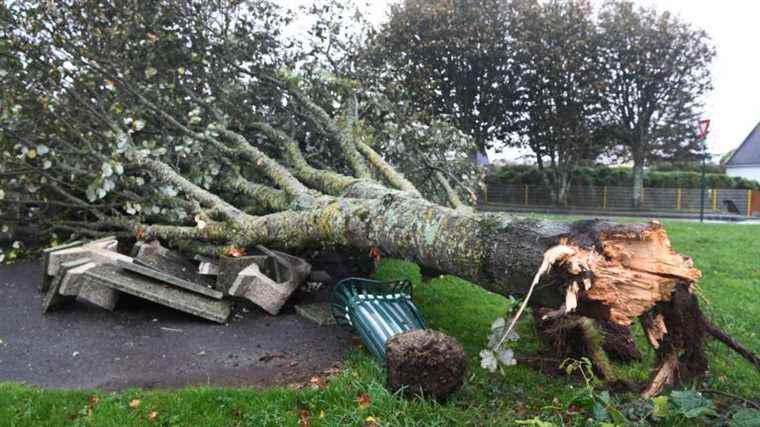 disruptions “in the process of being resolved” on the SNCF network, 17,000 households still without electricity