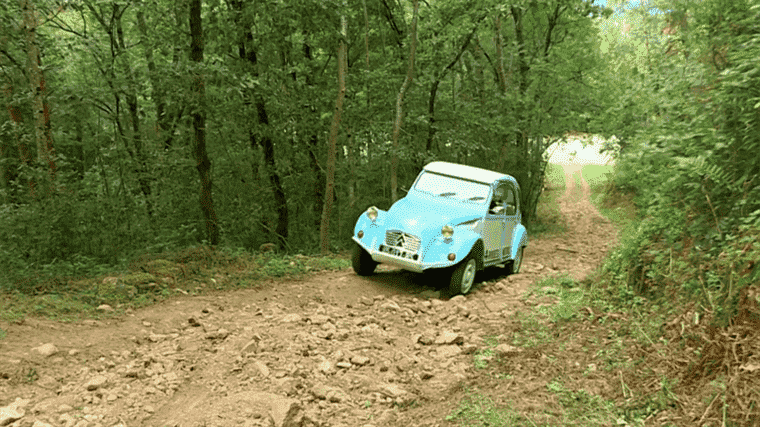 the 2 CV expert gives a second life to legendary vehicles