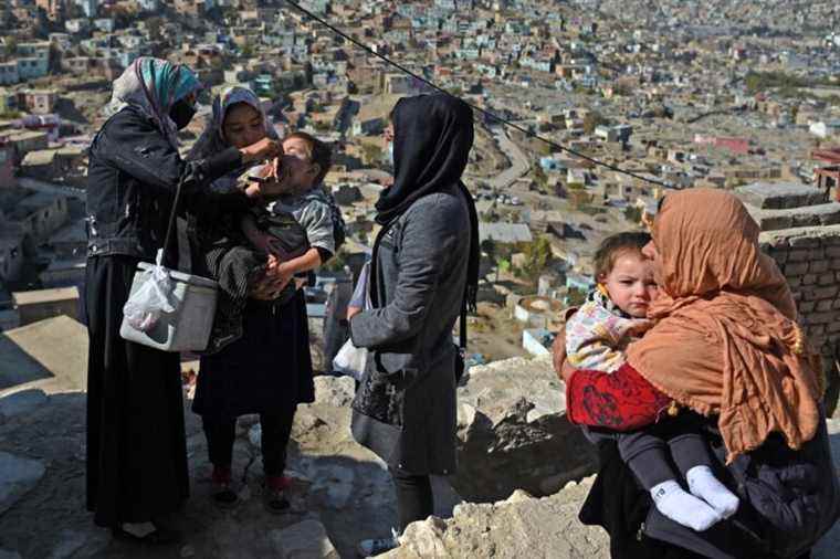 A first anti-polio vaccination campaign under the Taliban